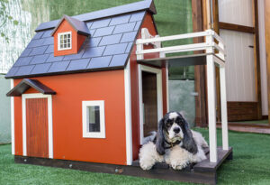 Image of a Cocker spaniel on the porch of his dog house.