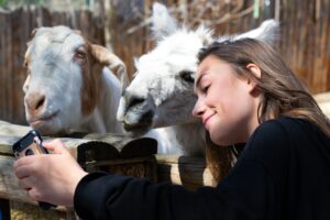 Image of a woman shooting a selfie with her goat and llama