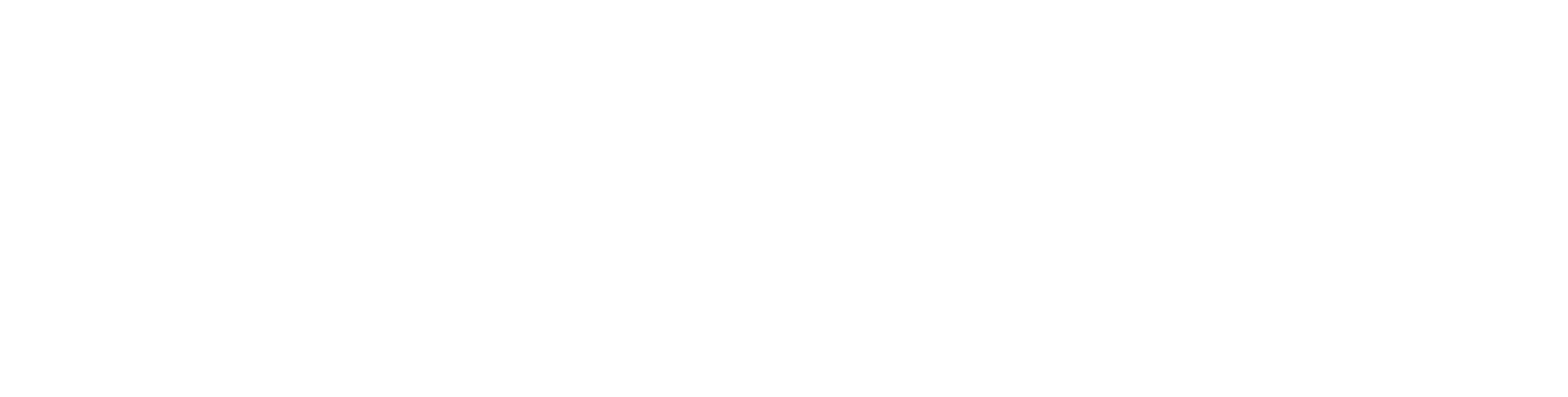 Paladin Data Corp. Logo