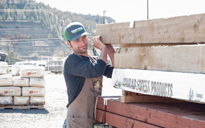 Paladin Brings Simplicity to Complicated Lumber Operations