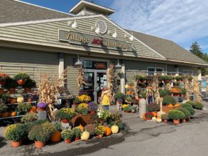 Storefront with plants, pumpkins, scarecrows, and corn