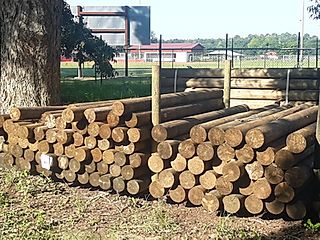 Pile of wooden posts sitting in lumberyard