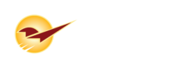 Paladin logo