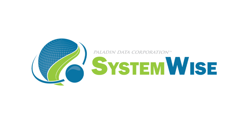 System Wise Icon