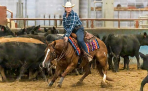 Paladin Customer Experience Specialist Alena Hoyer and her horse Splash
