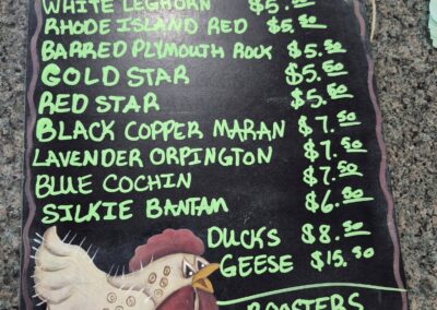 Menu of livestock sold