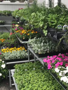 Lands End garden center
