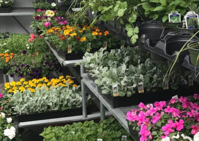 Lands End garden center