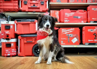 Morris Hardware's shop dog, Cooper