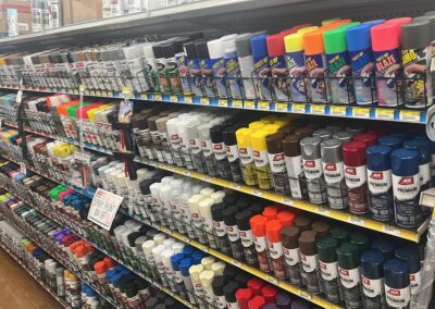 Orange City Ace Hardware paints