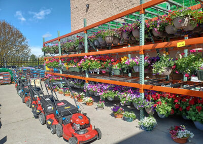Phil's Ace garden center