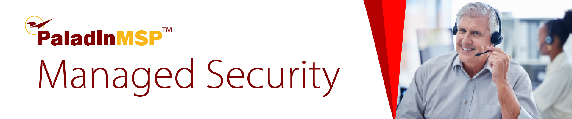 Banner with text "Paladin makes retail stores run better." Subhead: "point-of-sale and inventory management for independent retail stores."